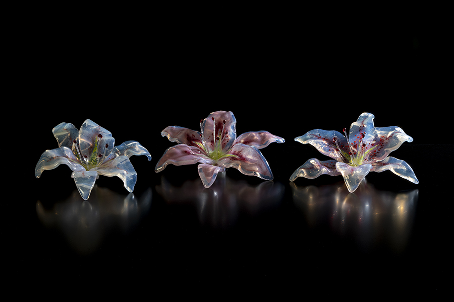 Flowerbomb Flowerbomb